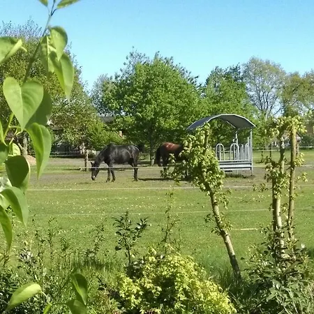 Heuer Konukevi Brietlingen